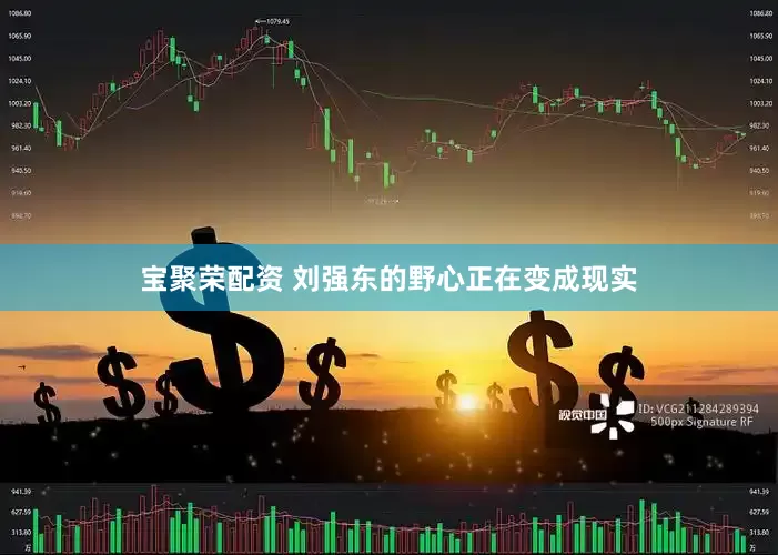 宝聚荣配资 刘强东的野心正在变成现实