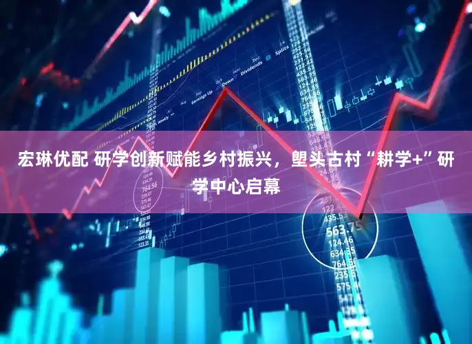 宏琳优配 研学创新赋能乡村振兴，塱头古村“耕学+”研学中心启幕