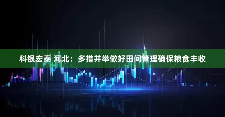 科银宏泰 河北：多措并举做好田间管理确保粮食丰收