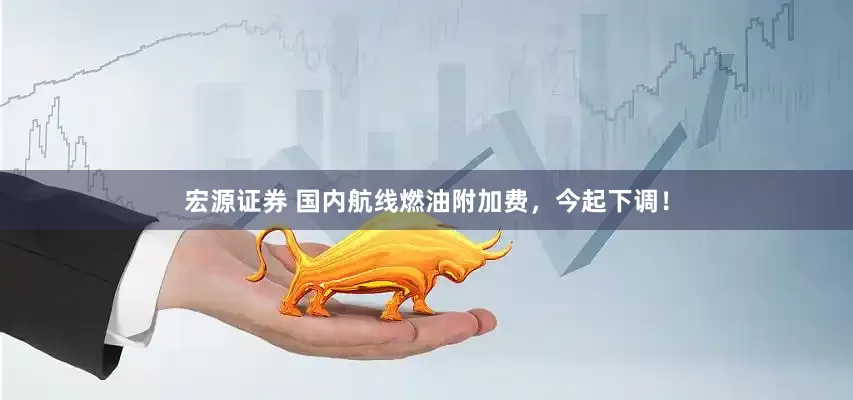 宏源证券 国内航线燃油附加费，今起下调！