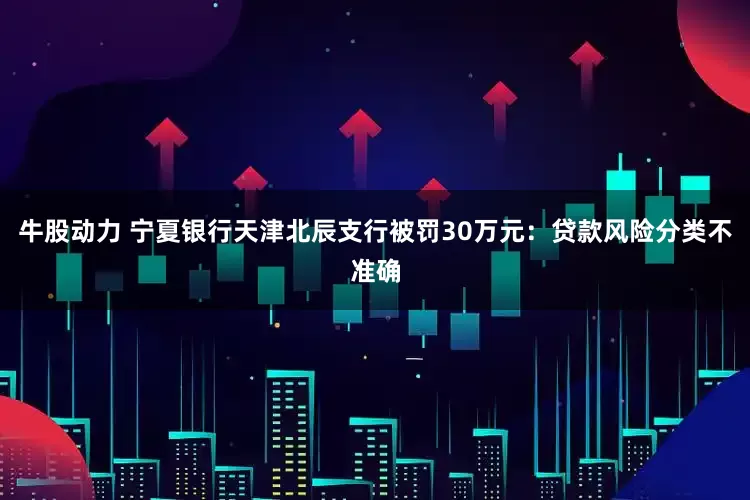 牛股动力 宁夏银行天津北辰支行被罚30万元：贷款风险分类不准确